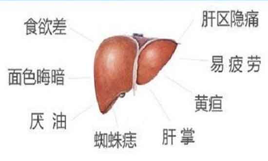 郑州哪个肝病医院比较好